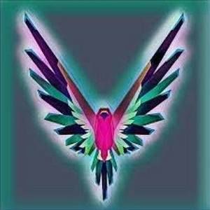 Meet your Posher, Shane